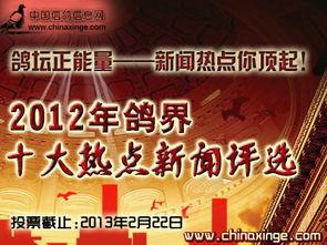 今日十大热点新闻,聚焦时事脉动，洞察社会焦点