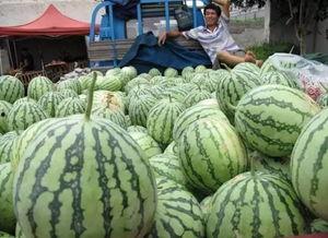 吃瓜黑料 吃瓜群众在七零,吃瓜群众见证风云变幻